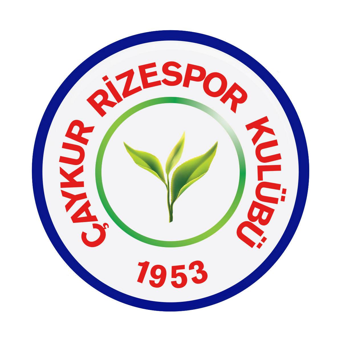 Efe Tecimer